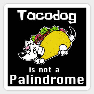 Tacodog is Not a Palindrome Magnet